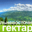 Внимание пользователей Дальневосточного гектара! Время предоставлять декларацию об освоении земельного участка - Кавалеровский муниципальный район