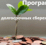 Программа долгосрочных сбережений (ПДС). - Кавалеровский муниципальный округ