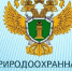 Владивостокская межрайонная природоохранная прокуратура информирует. - Кавалеровский муниципальный округ