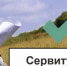 Ходатайство об установлении публичного сервитута. - Кавалеровский муниципальный округ