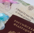 Почти 190 тысяч семей Приморского края оформили сертификаты на материнский капитал. - Кавалеровский муниципальный округ