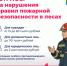 Нарушителей правил пожарной безопасности наказывают в Приморье. - Кавалеровский муниципальный округ